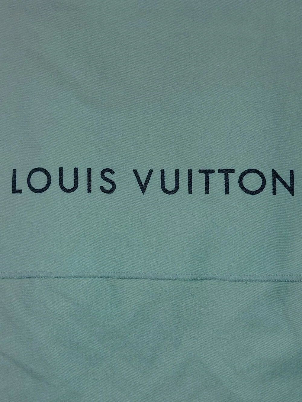 Louis Vuitton Large Cream Dust Cover 18